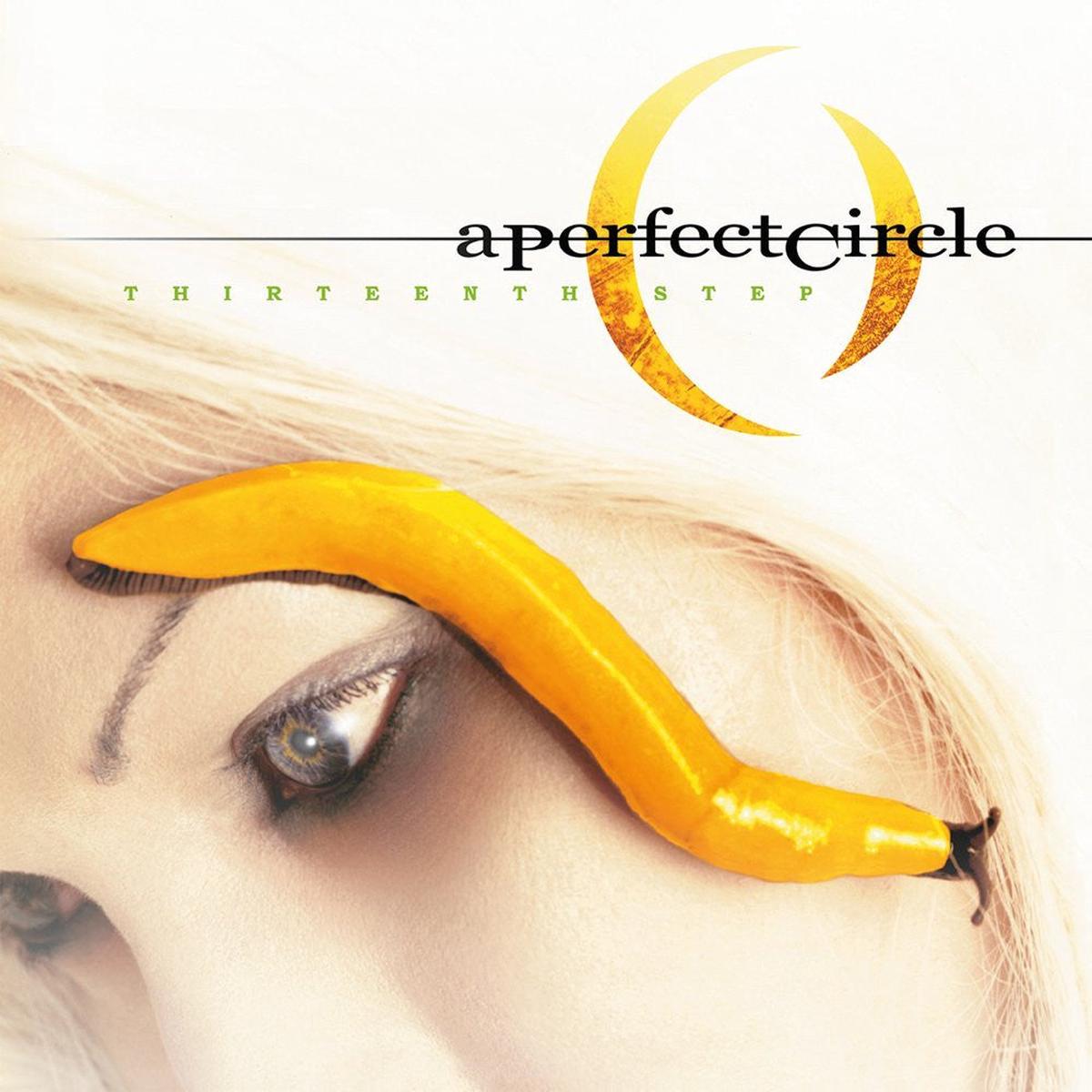 A Perfect Circle Thirteen Step Vinyl LP - Default Title
