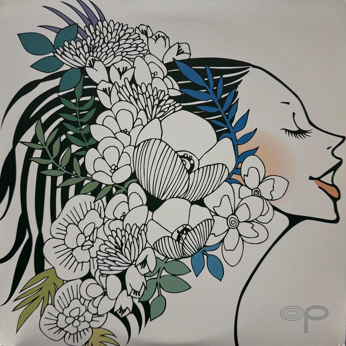 ORANGE PEKOE / Organic Plastic Music (NWR-3006, LP)