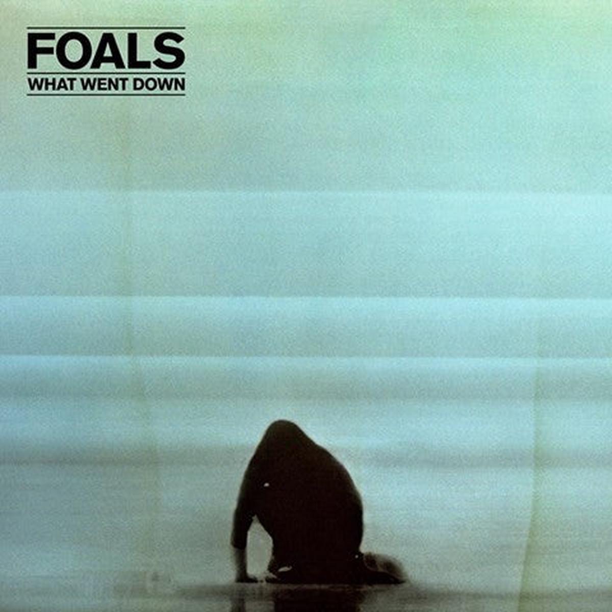 Foals - What Went Down [Vinyl]