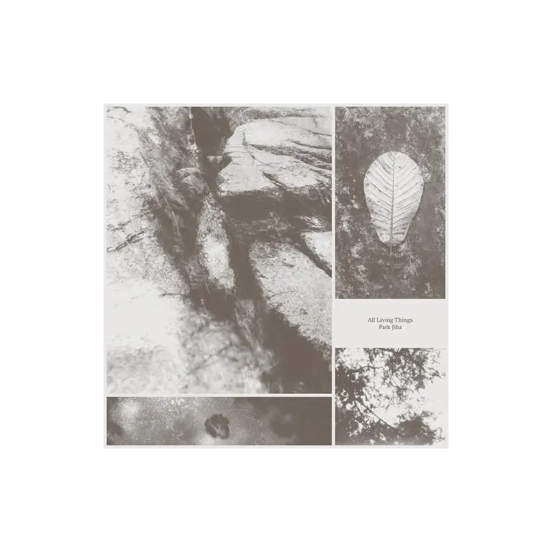 All Living Things - Vinyl LP