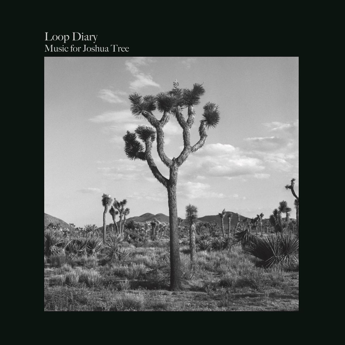 Loop Diary Music for Joshua Tree