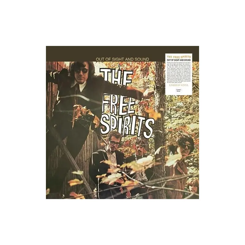 Out Of Sight And Sound - Vinyl LP