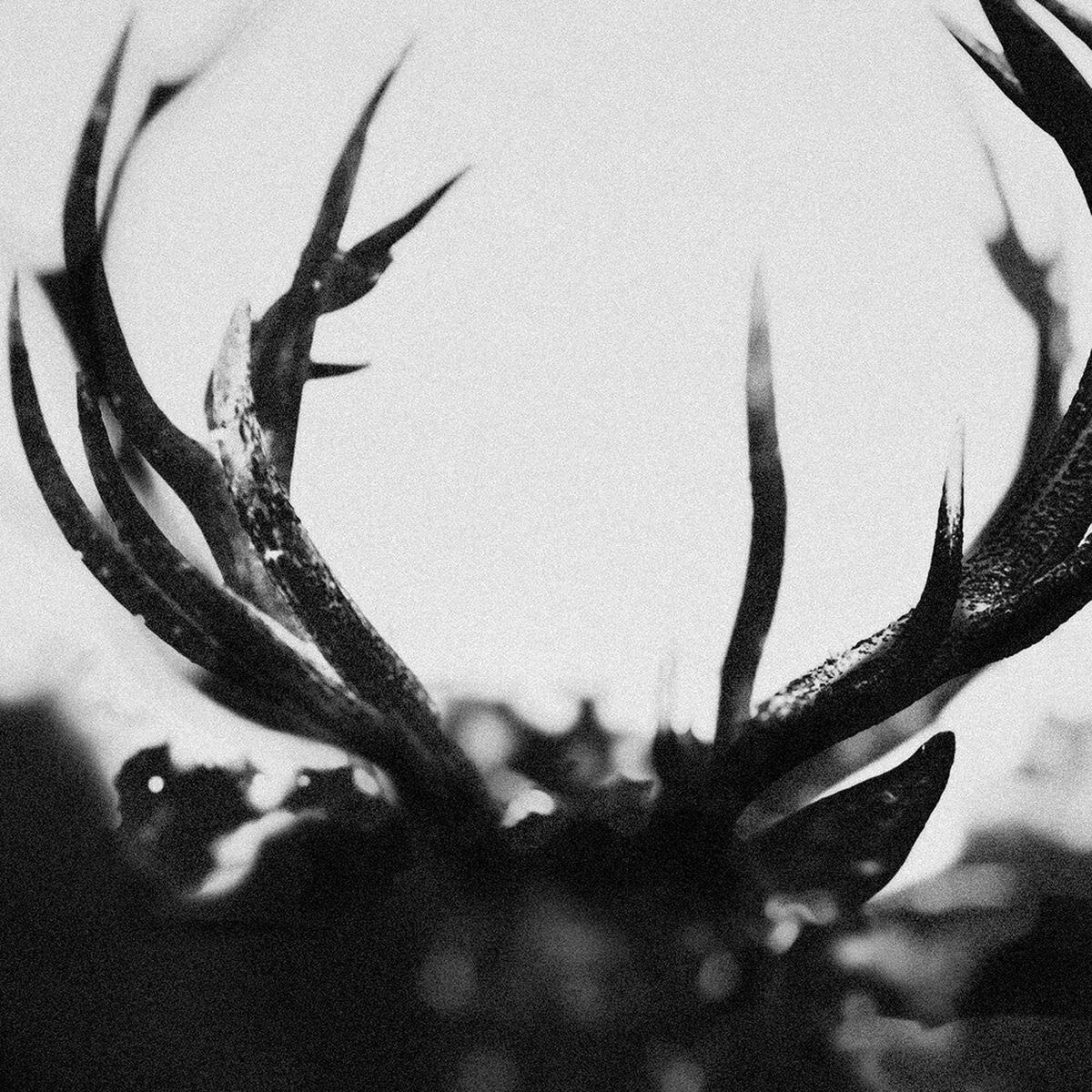Ihsahn - Ihsahn [LP]