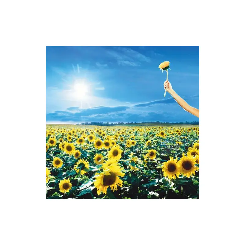 Thank You - Vinyl LP