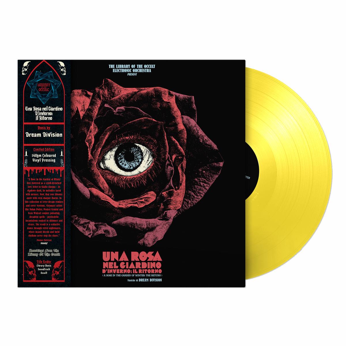 Una Rosa nel Giardino dInverno LP by Dream Division
