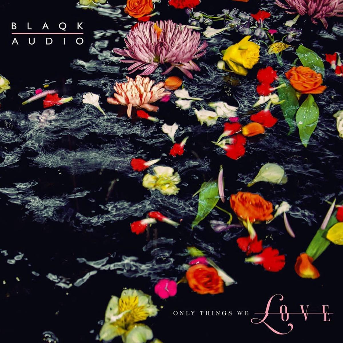 Blaqk Audio Only Things We Love Water Picture Disc Vinyl LP New 2019 - Default Title