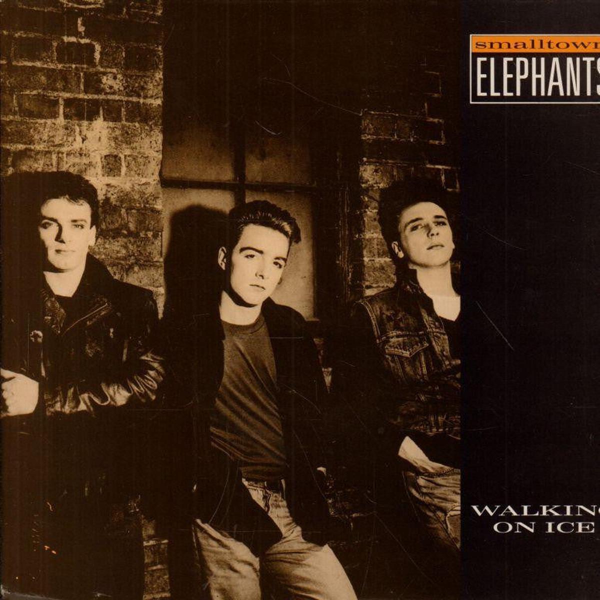 Walking On Ice-Polydor-7  Vinyl P/S-VG/VG