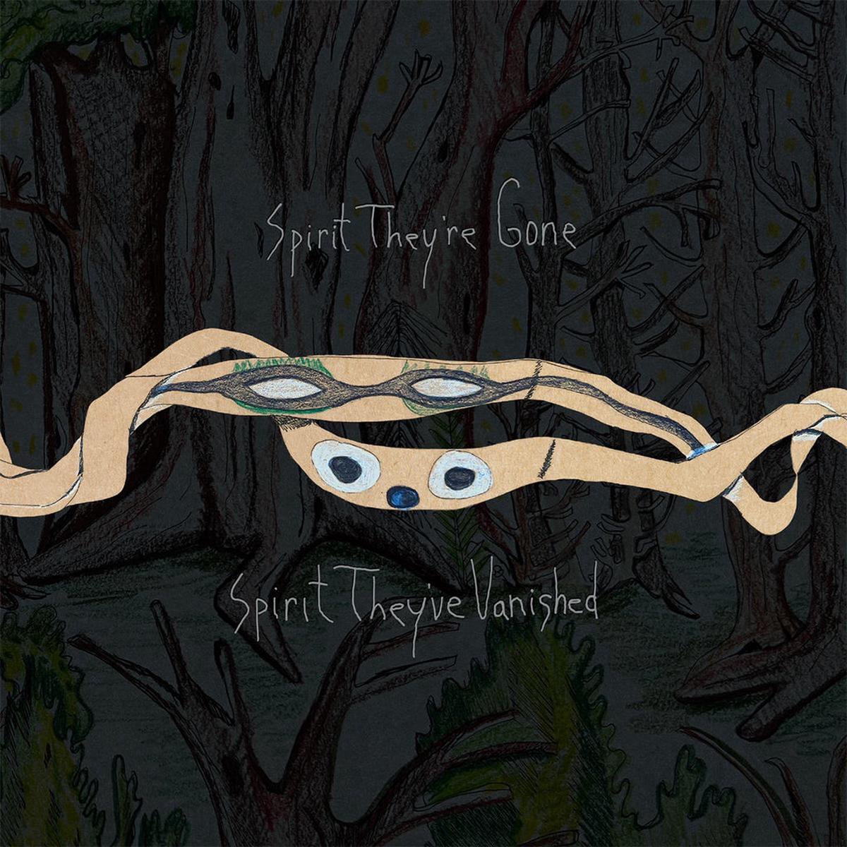 ANIMAL COLLECTIVE 8211 Spirit Theyre Gone Spirit They8217ve Vanished (Remastered 2023 w Bonus DL Tracks) 8211 2LP 8211 Gatefold Black Vinyl
