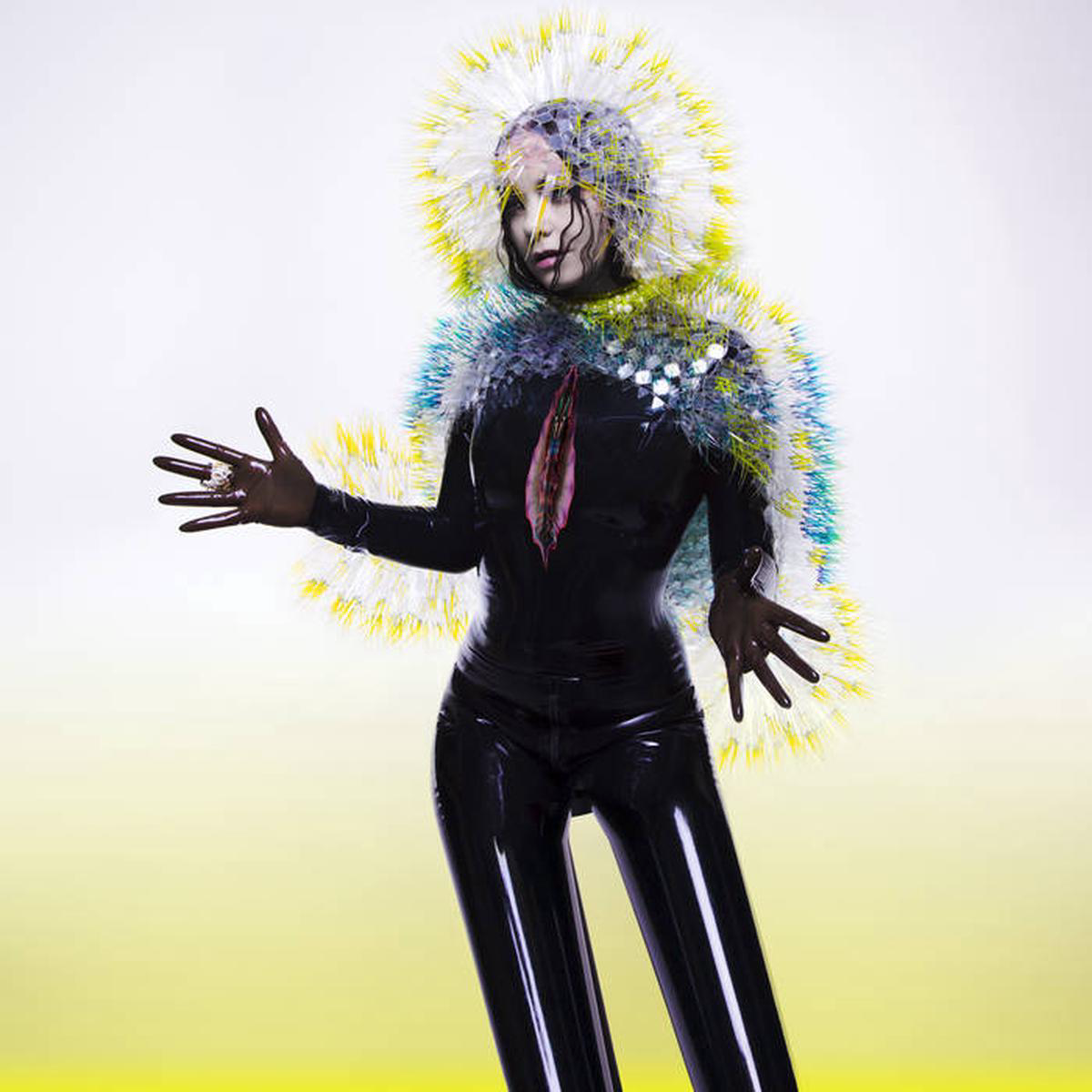 BJRK 8211 Vulnicura 8211 2LP 8211 Vinyl