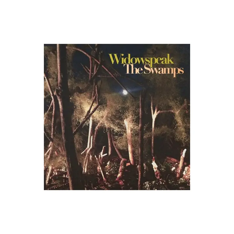 The Swamps - Vinyl LP