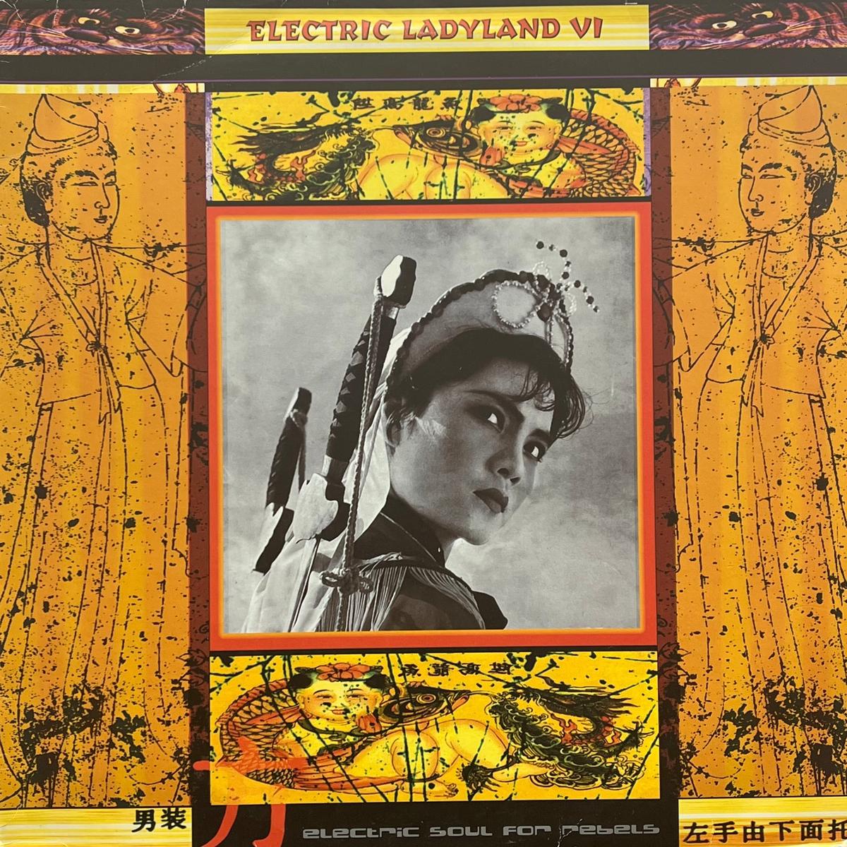 V.A. (DJ SPOOKY,TECHNO ANIMAL) / Electric Ladyland VI (Mille Plateaux MP 055, 2LP)