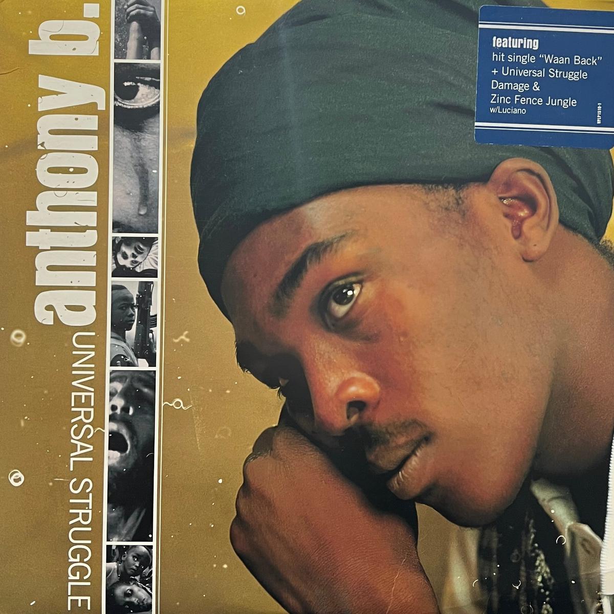 ANTHONY B / Universal Struggle (VP Records VPRL 1510, LP)