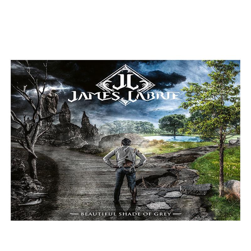 Beautiful Shade Of Grey LP+CD With Autographed Postcard