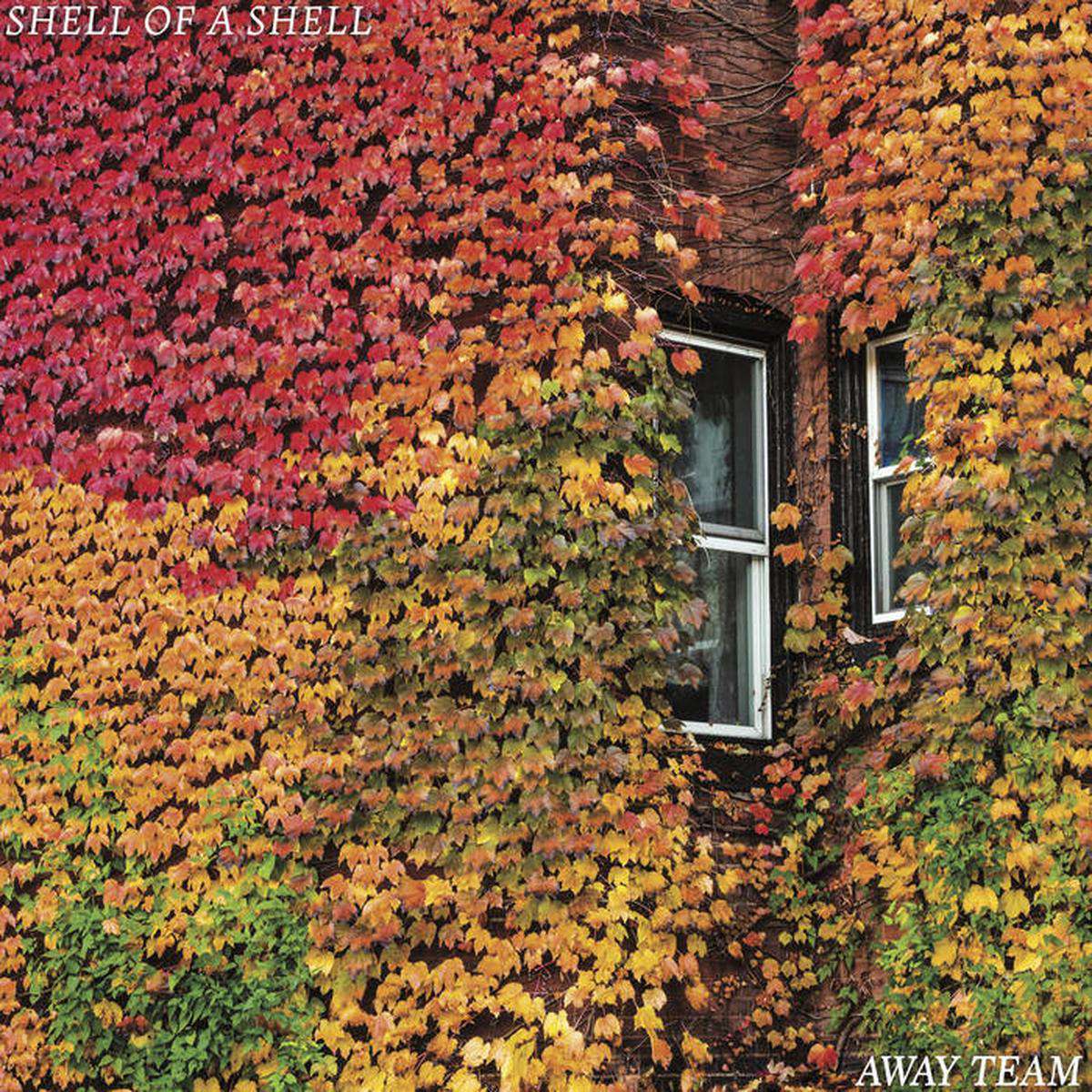 Shell of a Shell 8211 Away Team LP