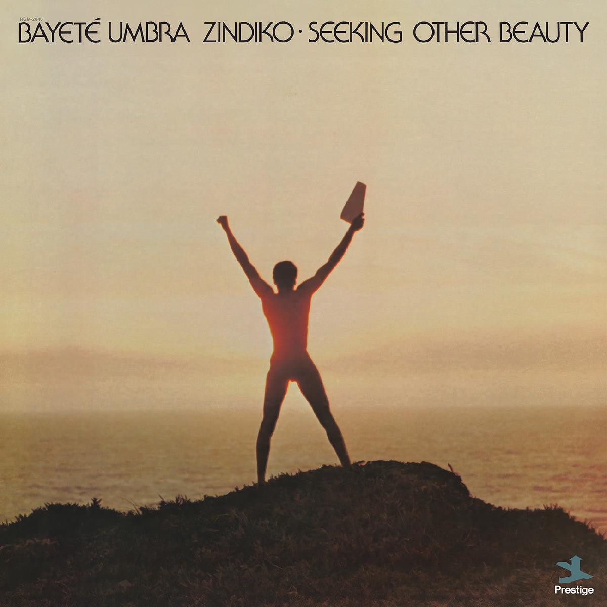 Bayet Umbra Zindiko Seeking Other Beauty (All-Analog) (Plasma Vinyl) - Default Title