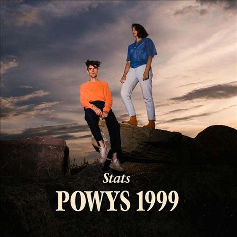 Stats - Powys 1999 [Vinyl]