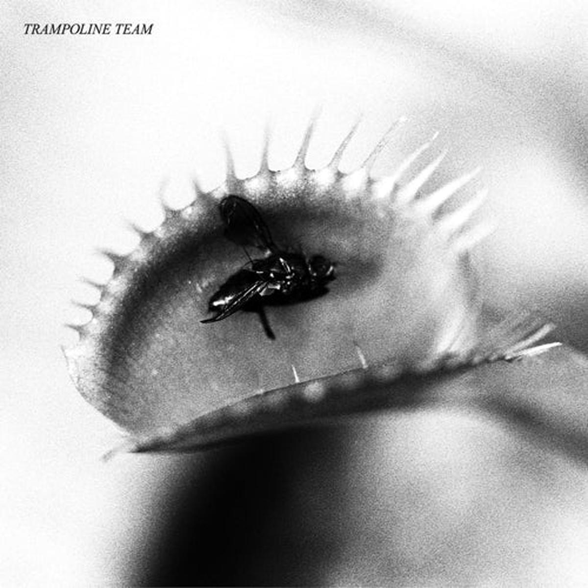 Trampoline Team 8211 Trampoline Team LP