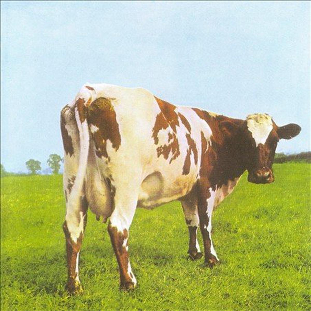 Atom Heart Mother (Remastered,180 Gram Vinyl, Gatefold LP Jacket) | Mint (M) Mint (M) - - ROCK