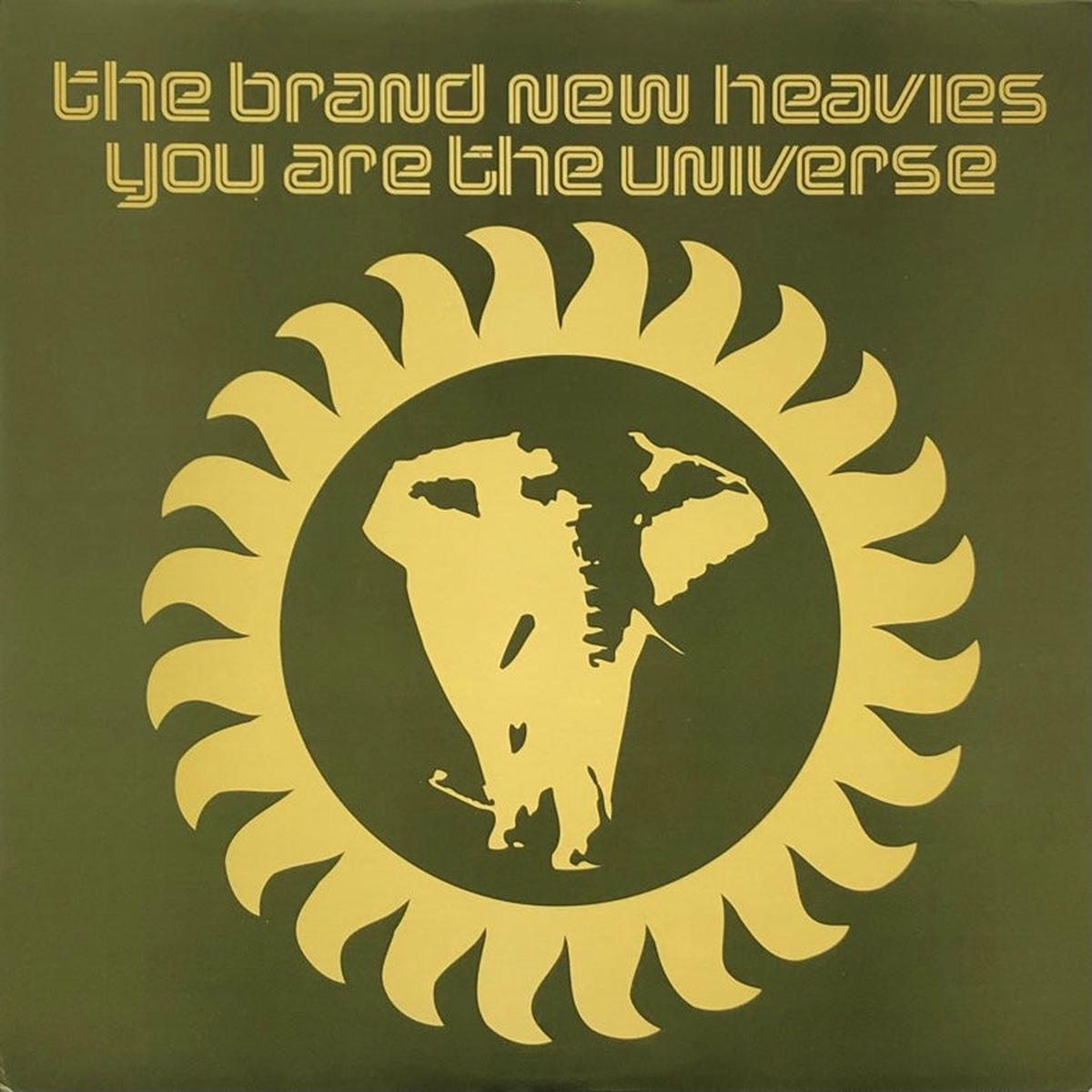 BRAND NEW HEAVIES / You Are The Universe (BAD004, 12inch)
