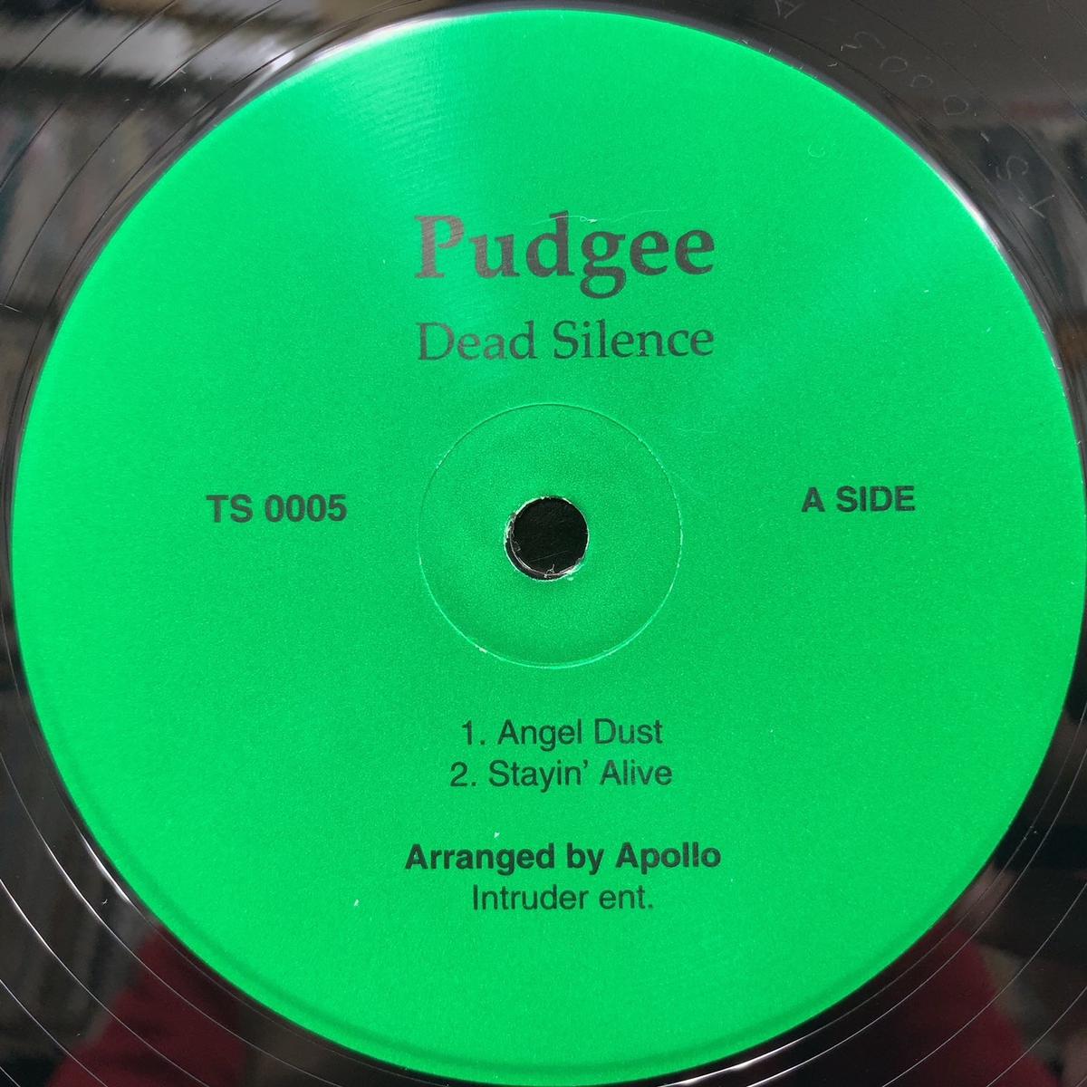 PUDGEE / Dead Silence (TS 0005, 12inch)