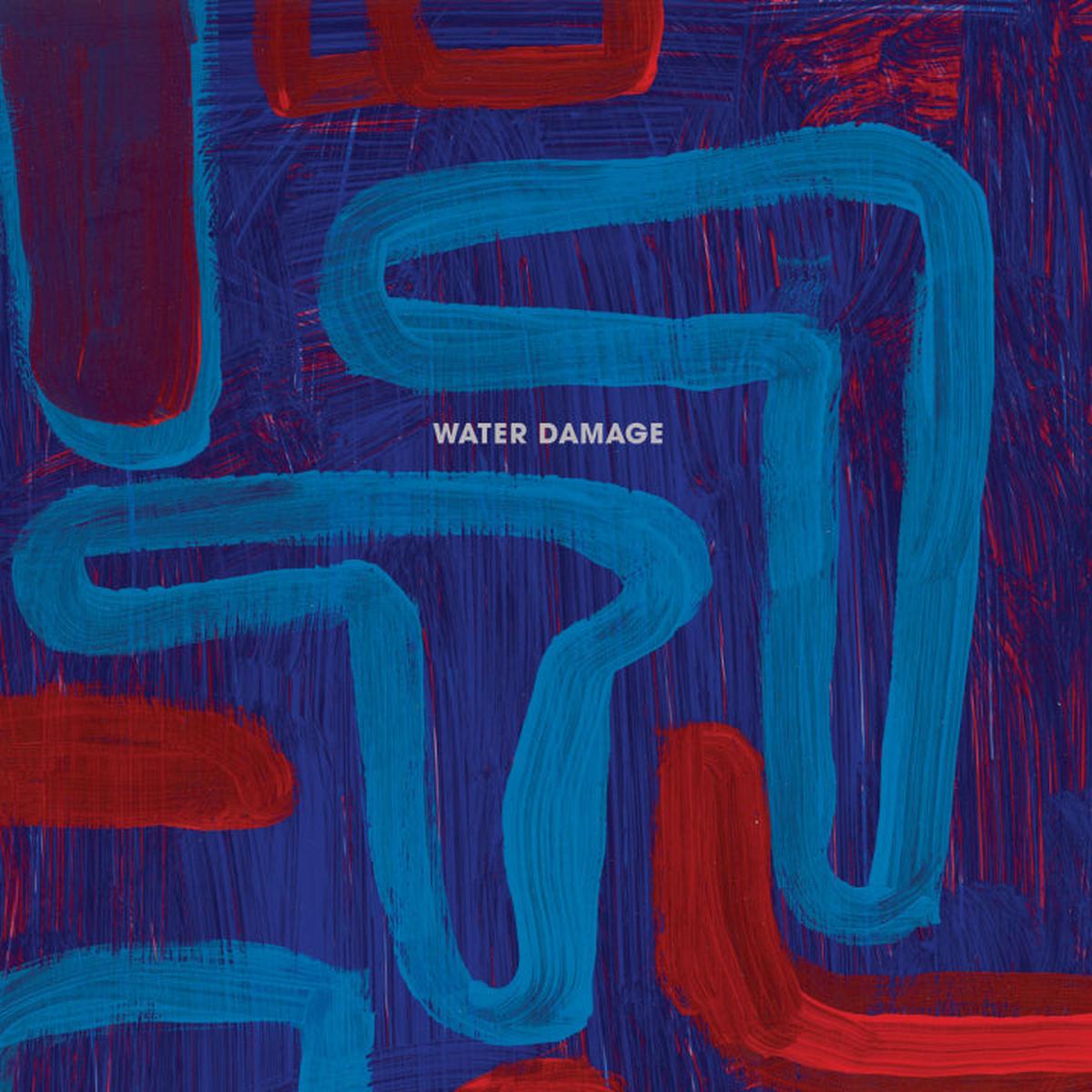 Water Damage - Instruments [Vinyl]
