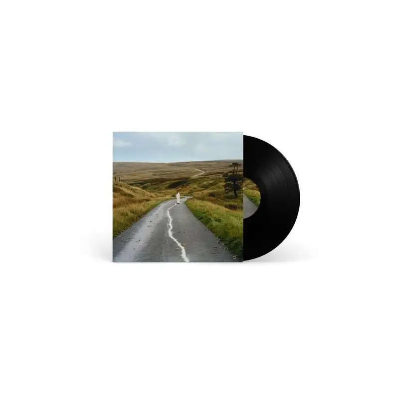 The Loop - Vinyl LP