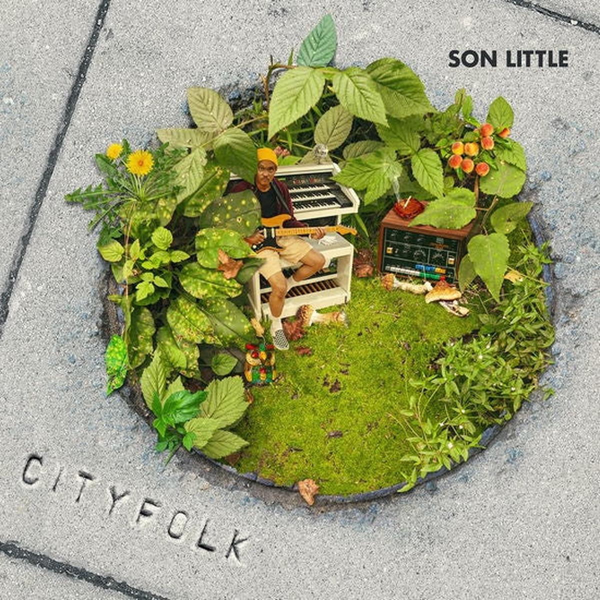 Cityfolk [LP] (Import)
