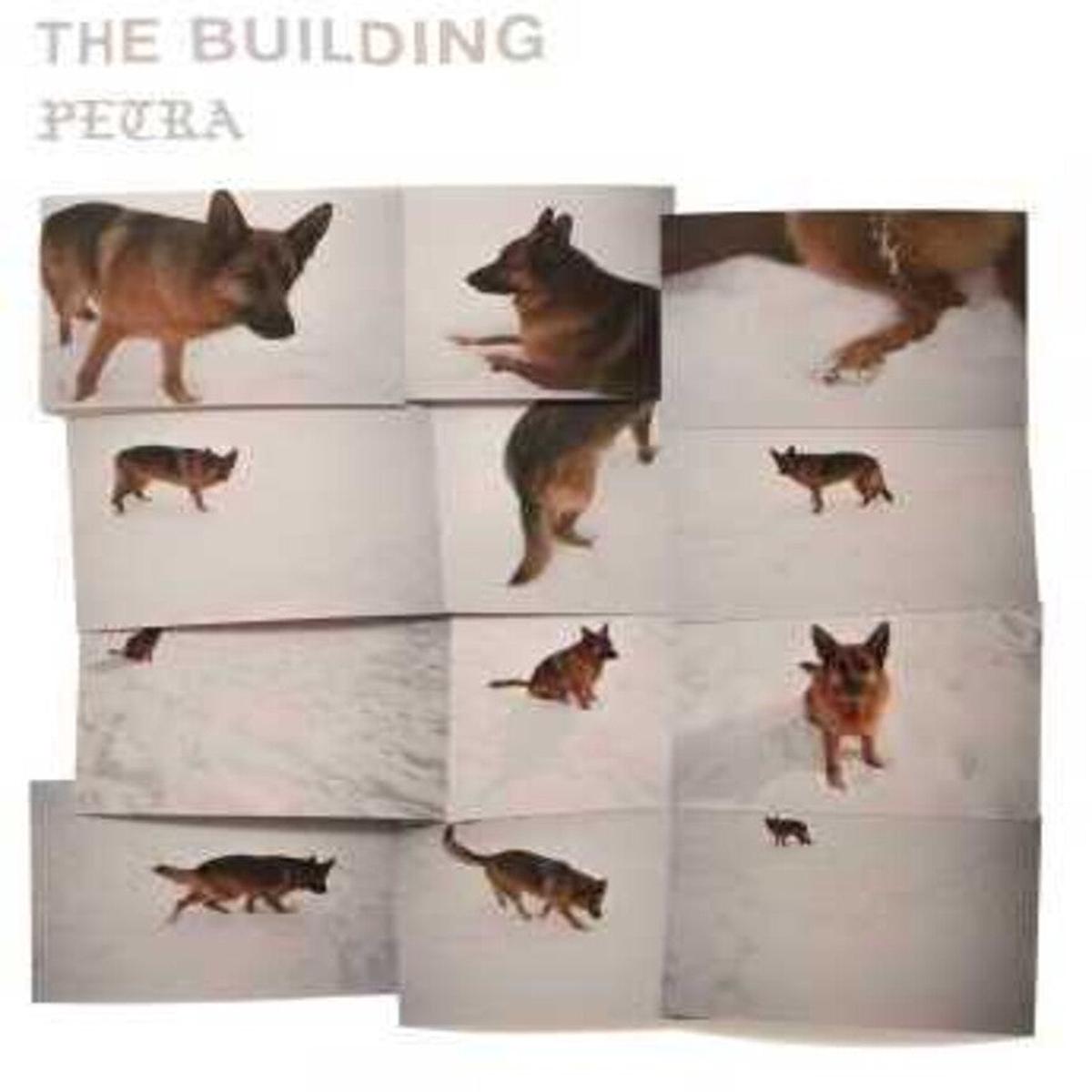 The Building - PETRA [LP]