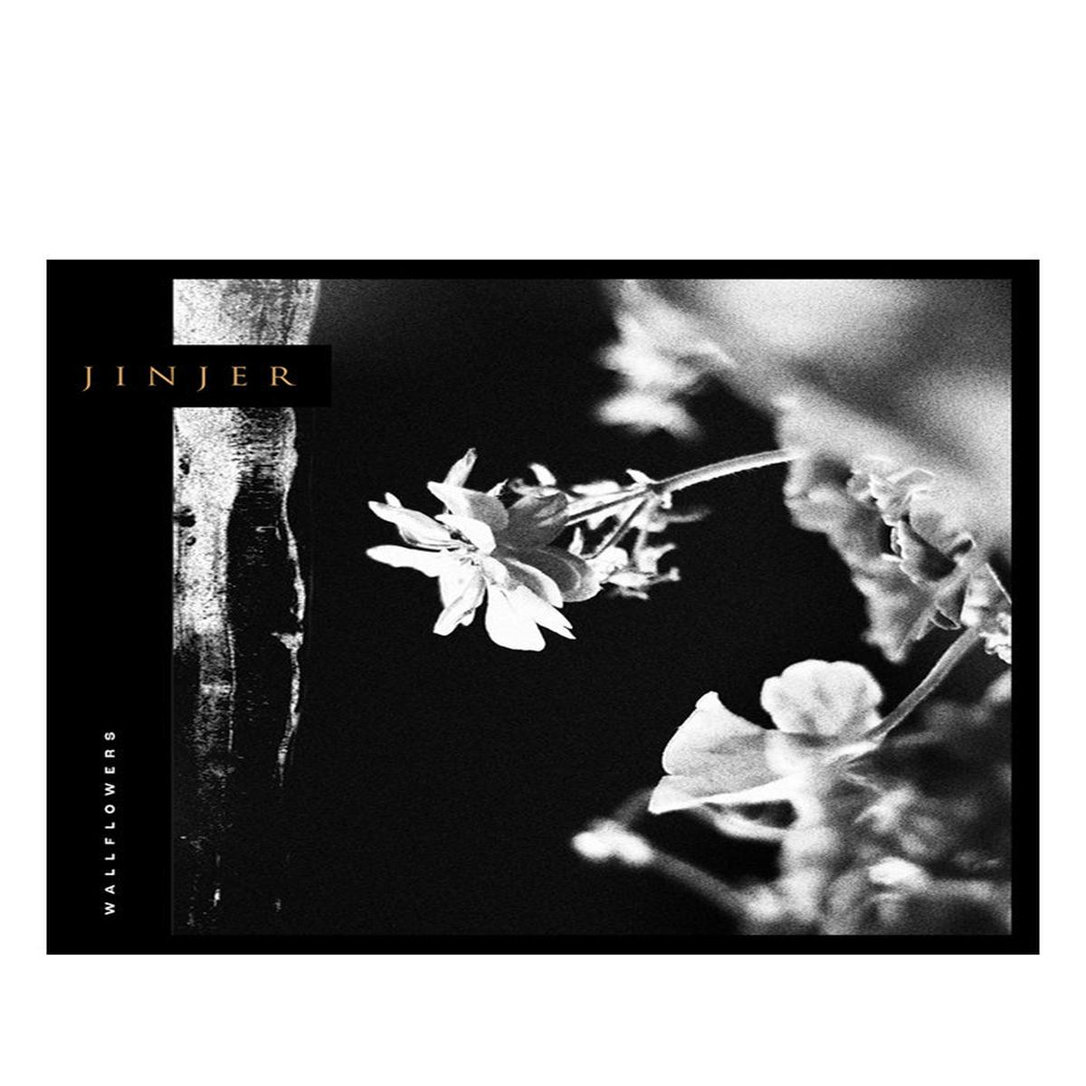 Wallflowers LP