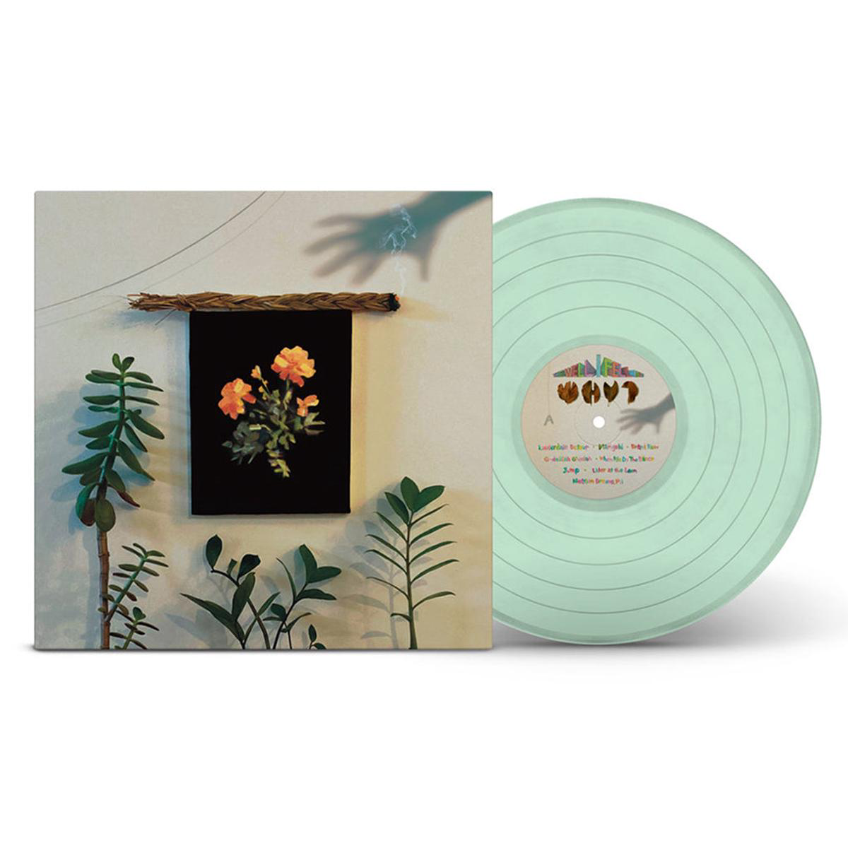 WHY 8211 The Well I Fell Into 8211 LP 8211 8217Her Shadow8217 Colour Vinyl