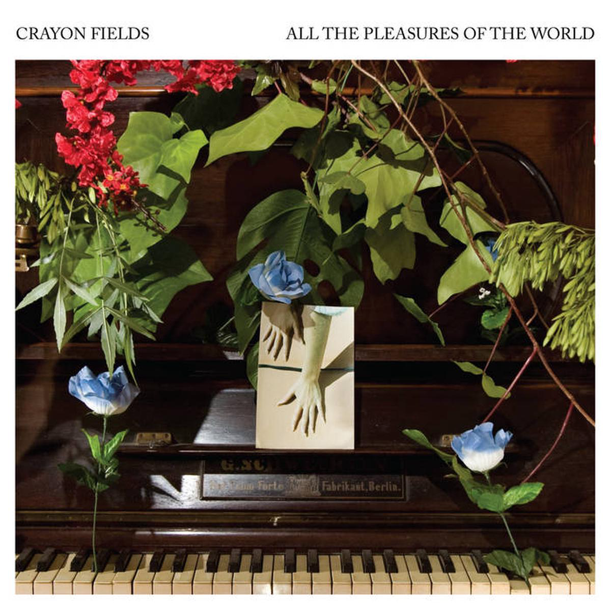 Crayon Fields 8211 All the Pleasures of the World LP