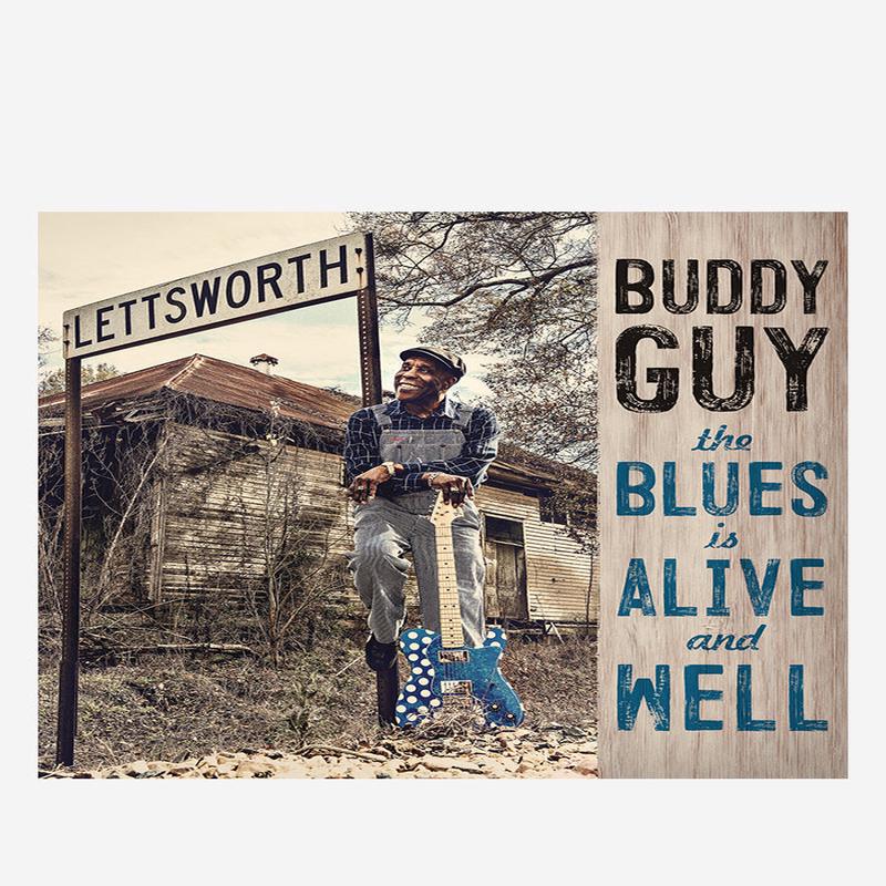 The Blues Is Alive And Well 2 LP