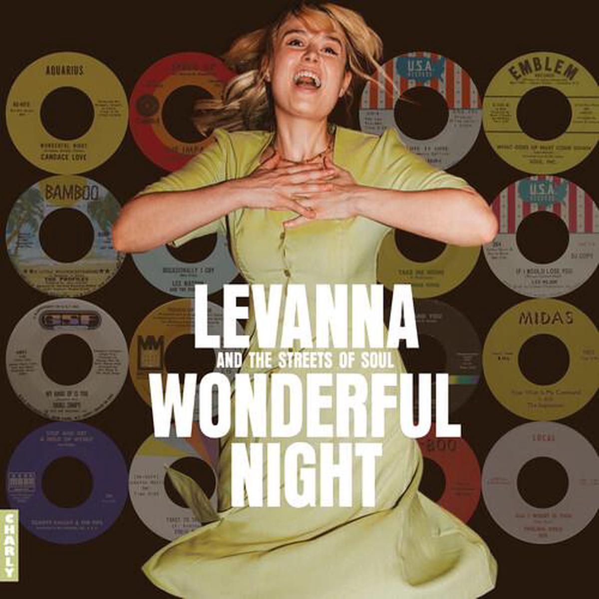 Wonderful Night Curated By Levanna (Various Artists) - Vinyl LP