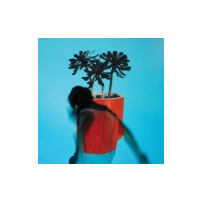 Sunlit Youth - Vinyl LP