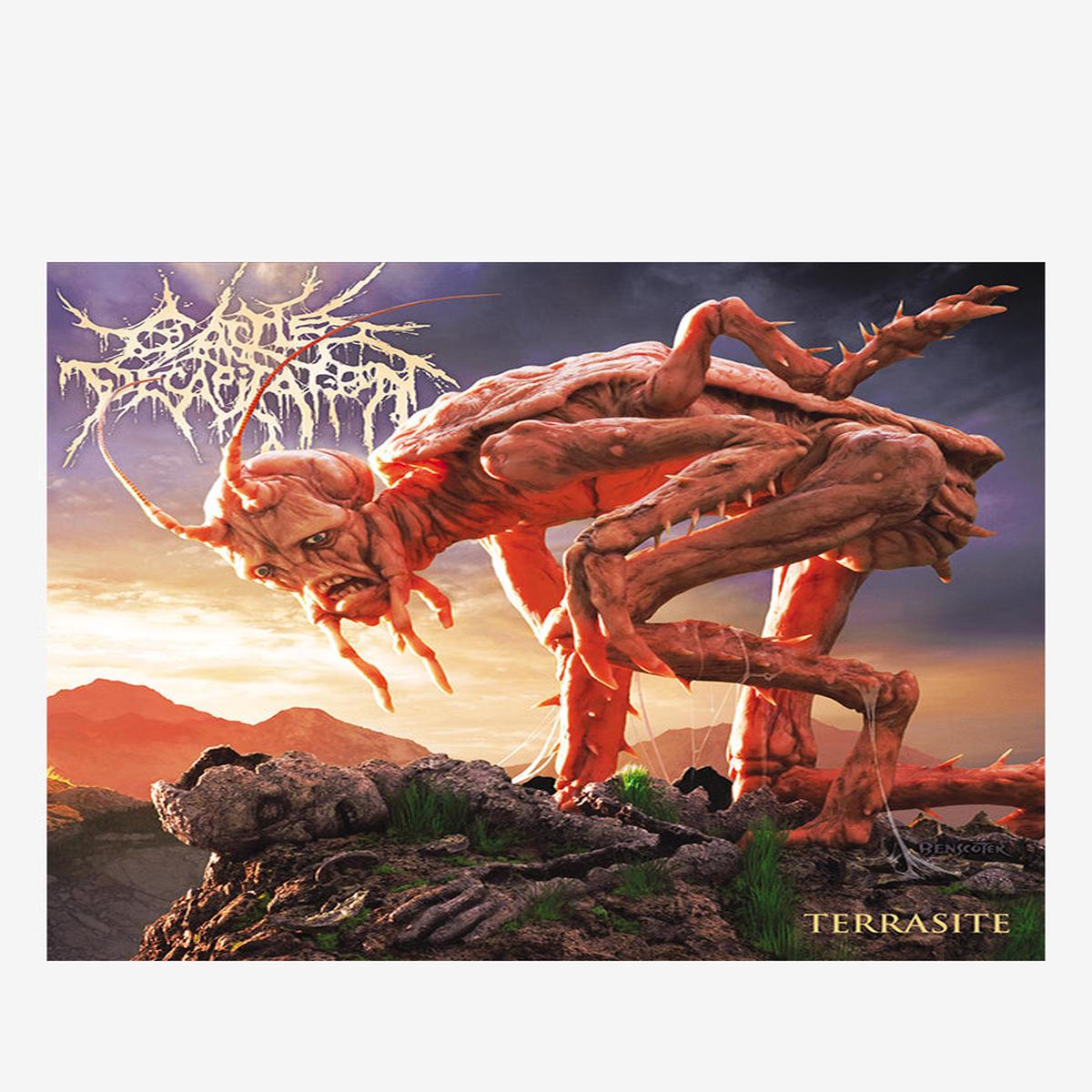 Terrasite 2LP