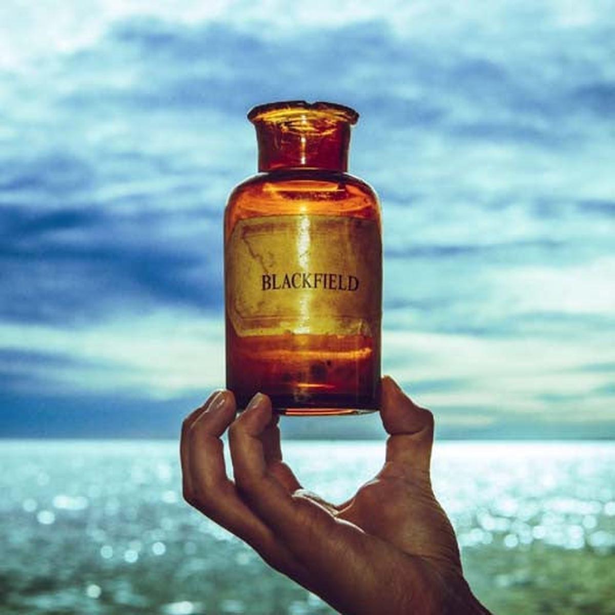 BLACKFIELD Blackfield V 2LP Vinyl NEW 2017 - Default Title