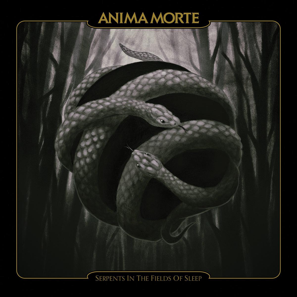 Serpents in the Fields of Sleep LP