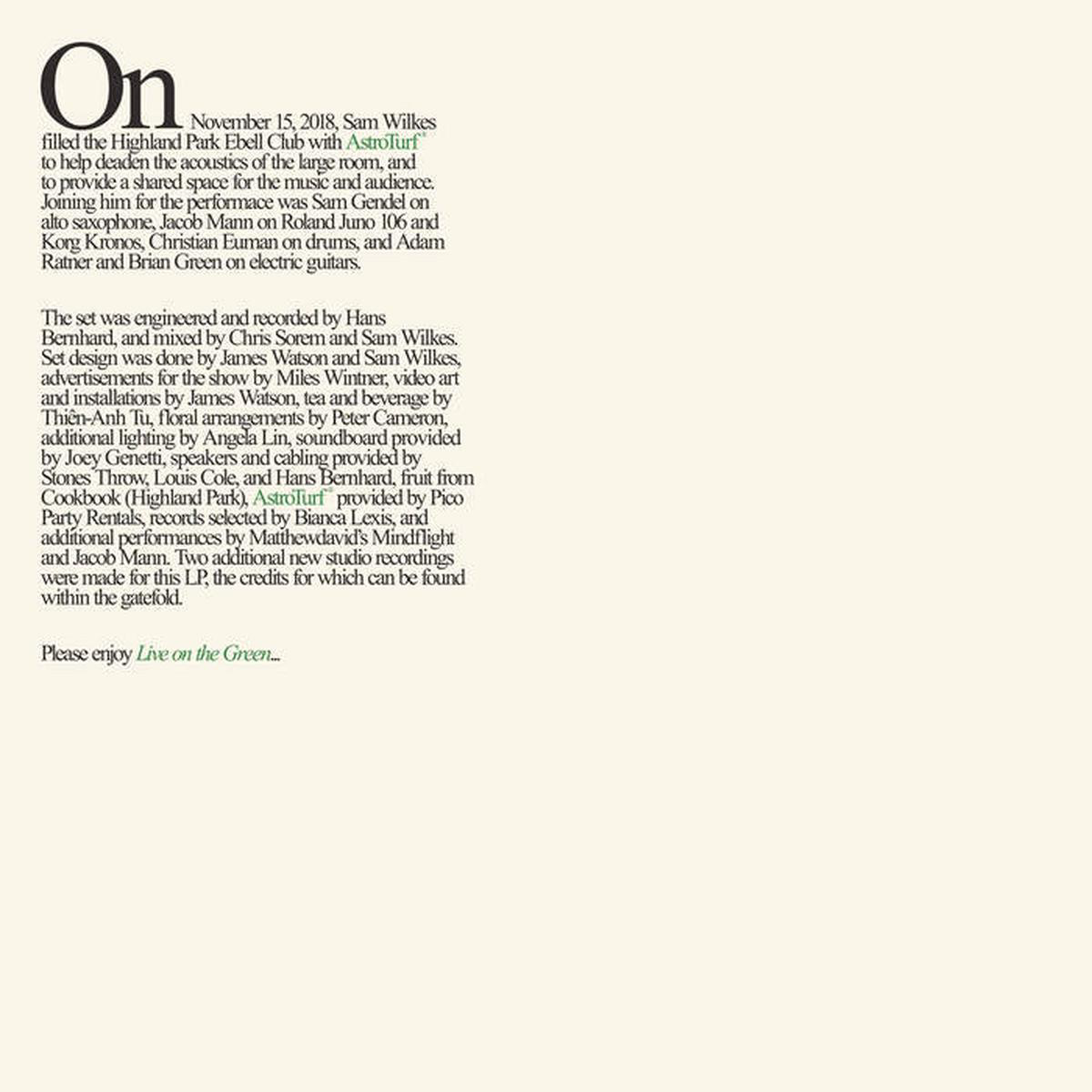 Sam Wilkes 8211 Live on the Green LP