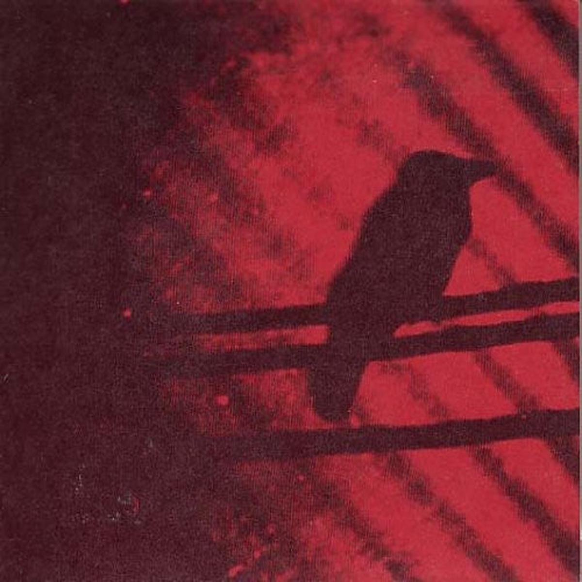 Silver Mt. Zion - Born Into Trouble As the Sparks Fly Upward [LP]
