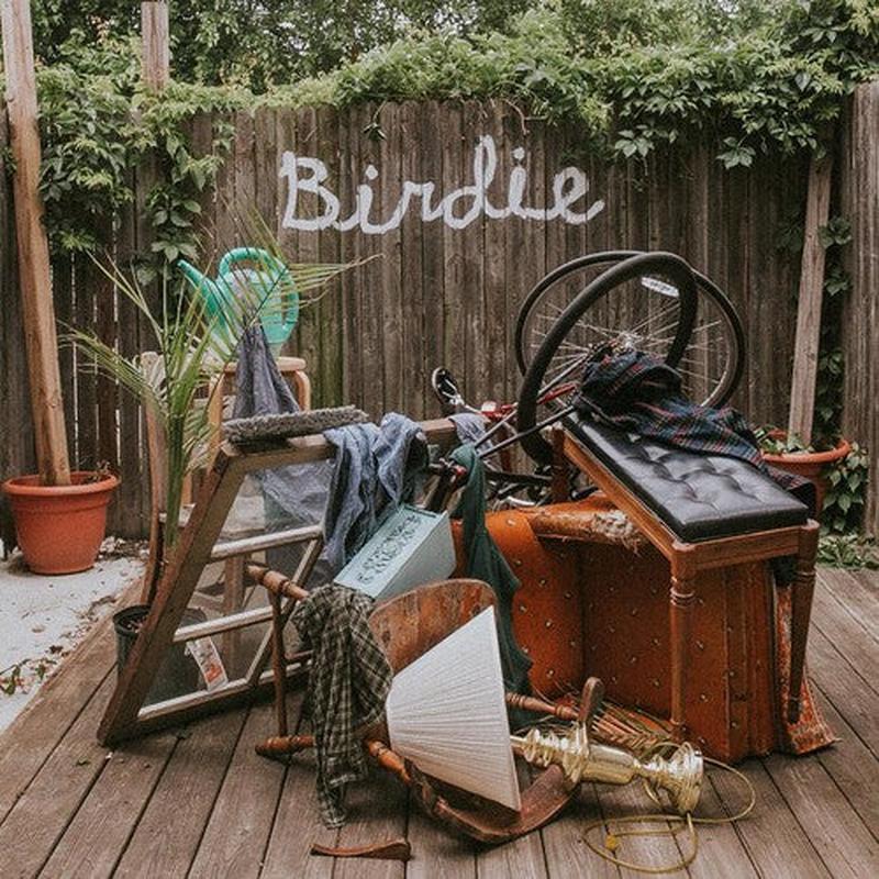 Slaughter Beach Dog - Birdie (RSD Exclusive)