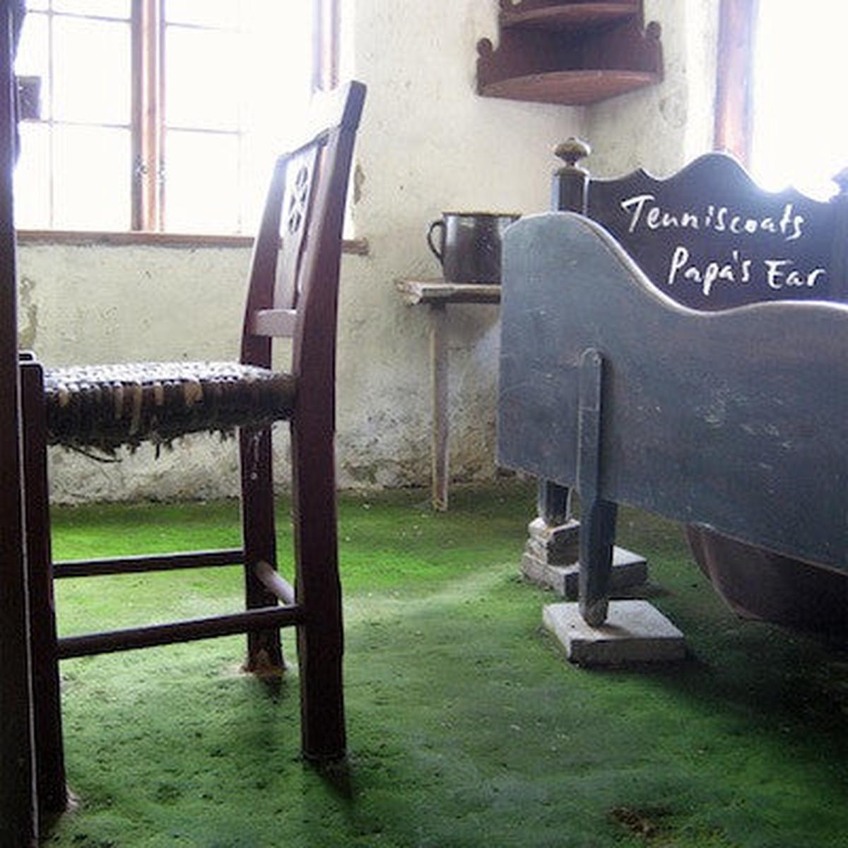 Tenniscoats - Papa s Ear