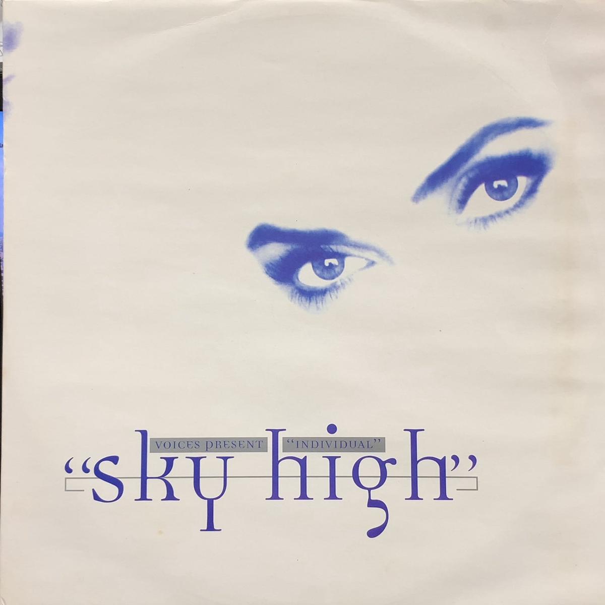VOICES Present INDIVIDUAL / Sky High (Sound Of Ministry, SOMT17, 12inch)