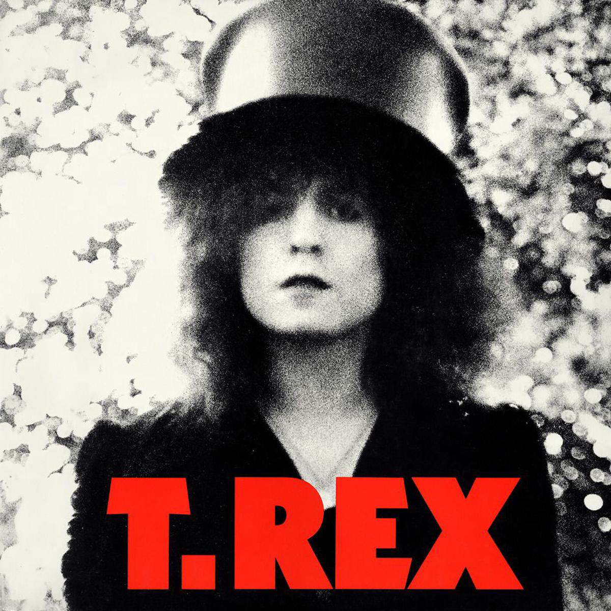 T Rex 8211 The Slider Deluxe Edition 2LP