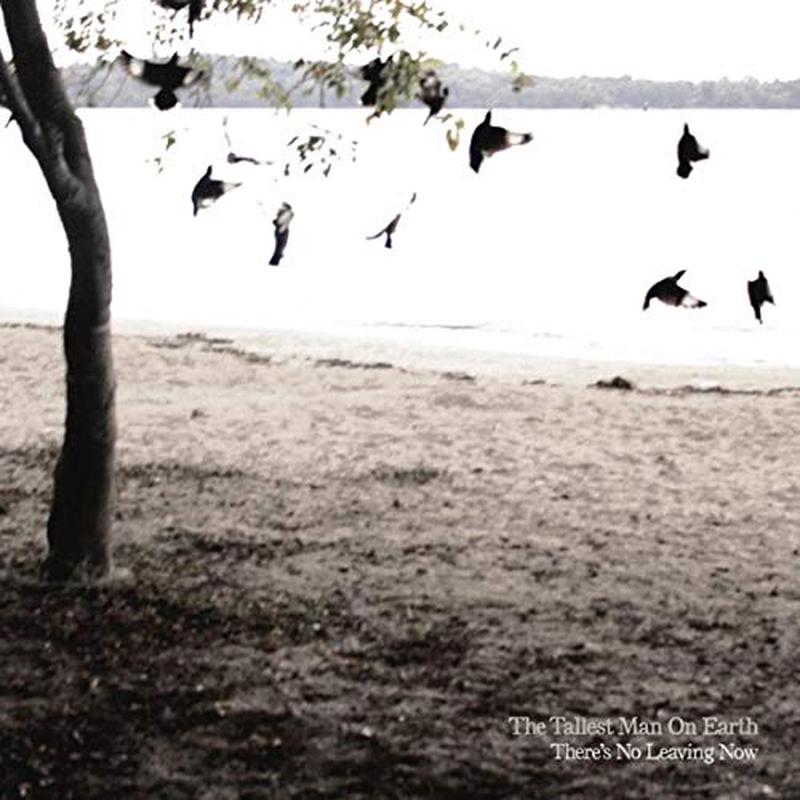 The Tallest Man On Earth - There's No Leaving Now [VINYL]