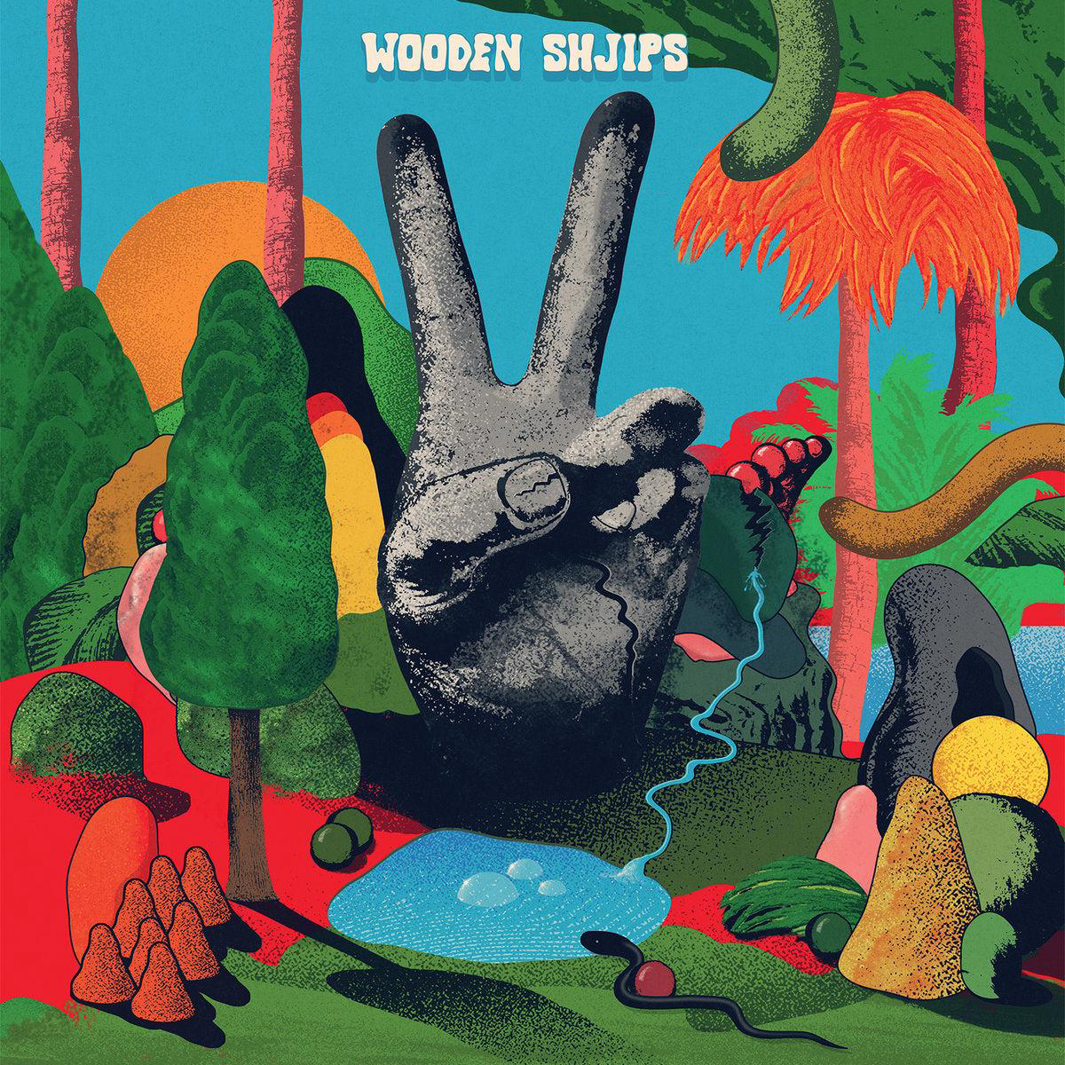 Wooden Shjips 8211 V LP