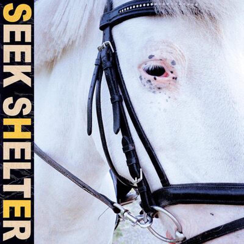 Seek Shelter - Iceage [VINYL Limited Edition]