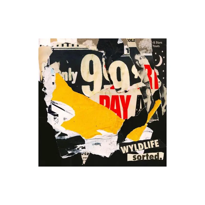 Sorted. - Vinyl LP