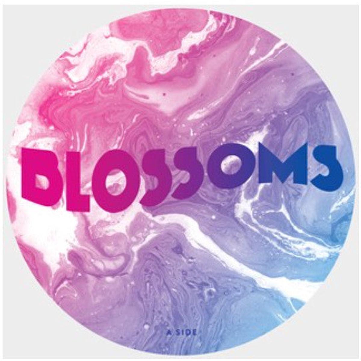 Blossoms Unplugged At Festival No 6 Vinyl Picture Disc  RSD 2017
