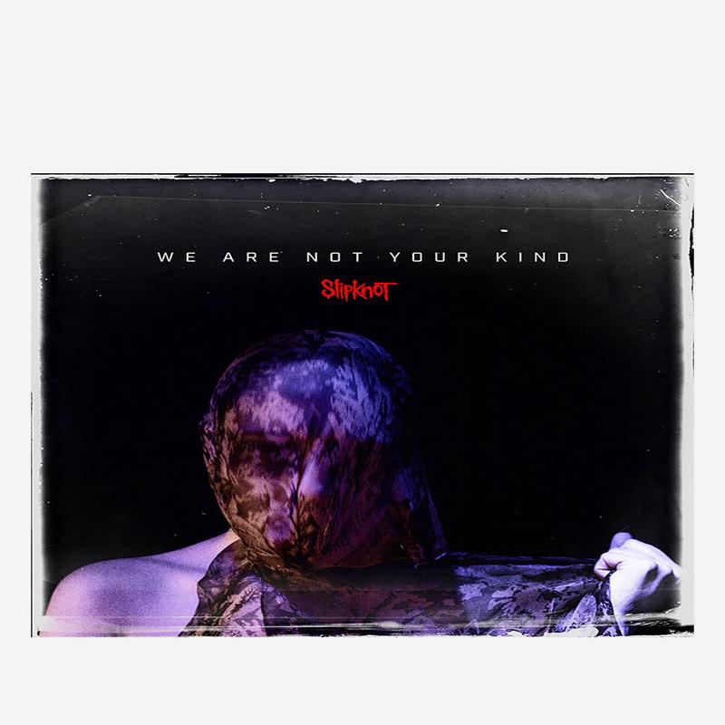 We Are Not Your Kind LP
