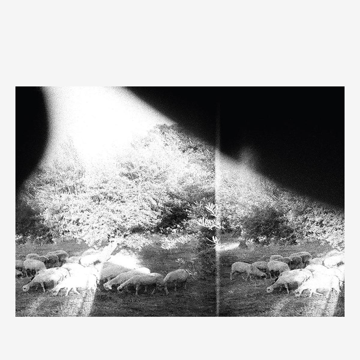 Asunder, Sweet And Other Distress LP